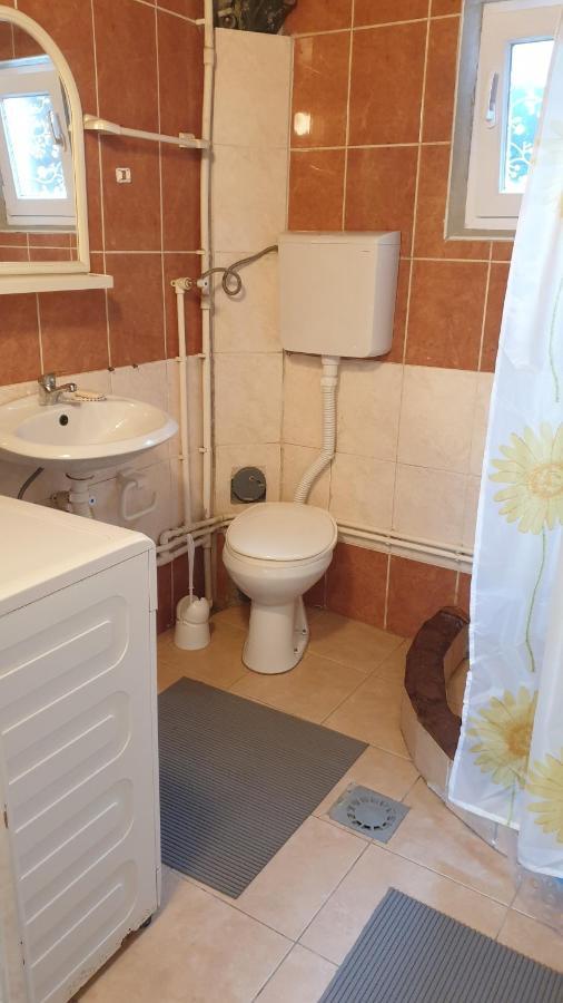 Apartman Sava Nis Bagian luar foto